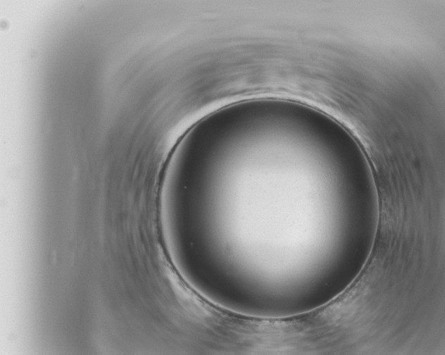 X0000088601534200706011150