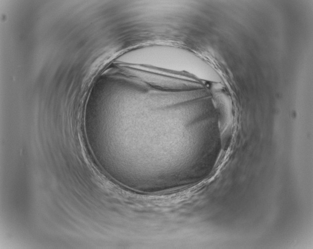 X0000088600001200706081404