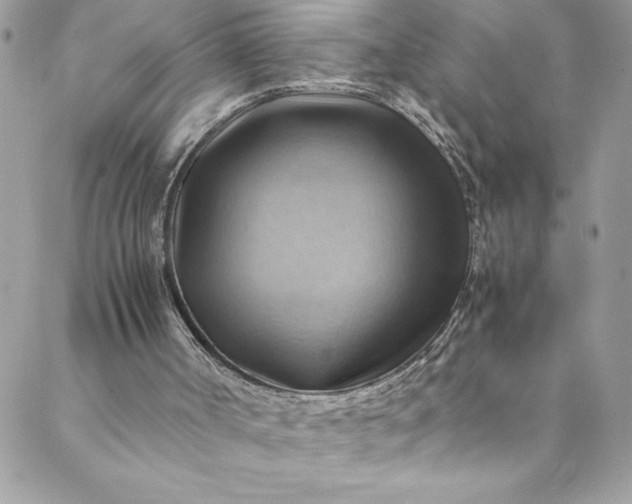 X0000088600002200706081404