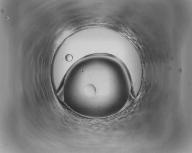 X0000088600003200706081404