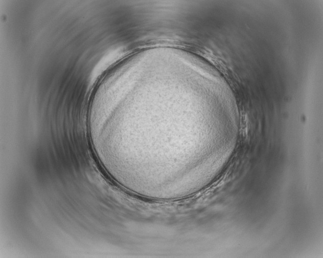 X0000088600004200706081404