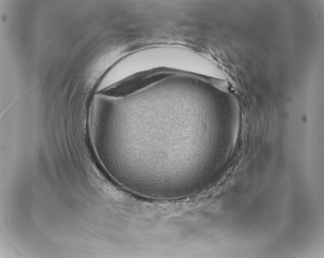 X0000088600005200706081404