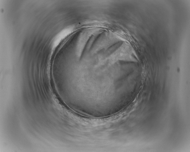 X0000088600006200706081404