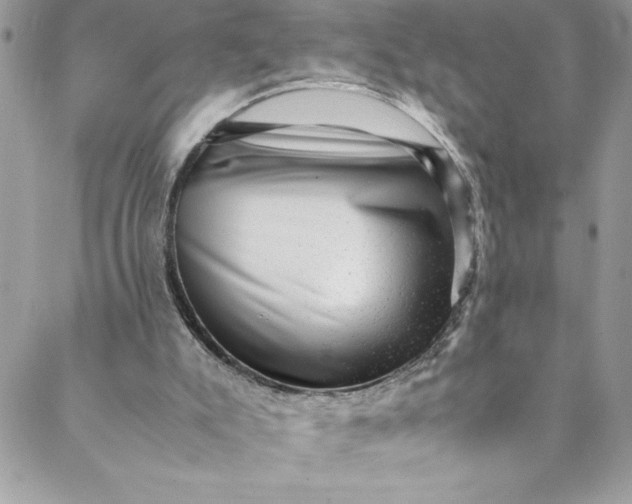 X0000088600007200706081404