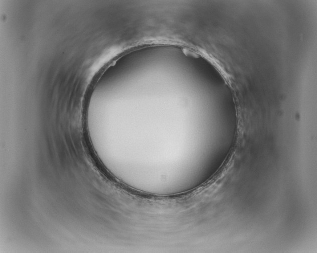 X0000088600008200706081404