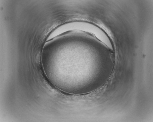 X0000088600009200706081404