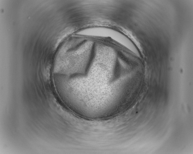 X0000088600010200706081404