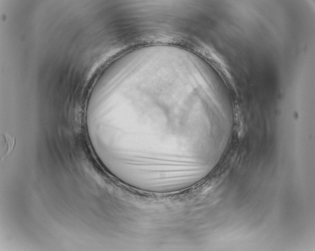 X0000088600012200706081404