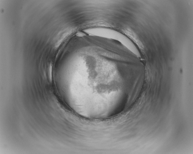 X0000088600014200706081404