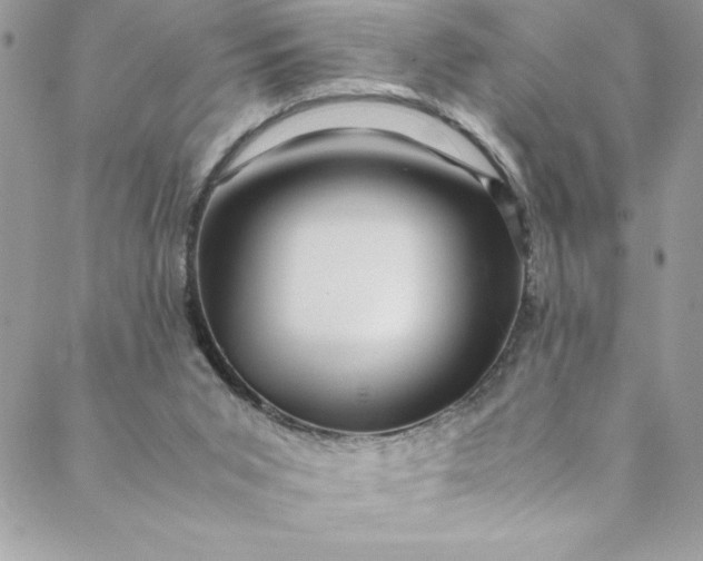 X0000088600015200706081404