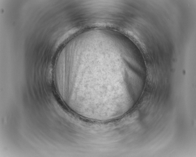 X0000088600016200706081404