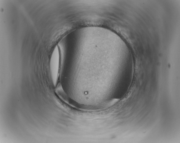 X0000088600017200706081404