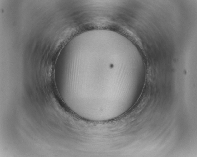 X0000088600018200706081404