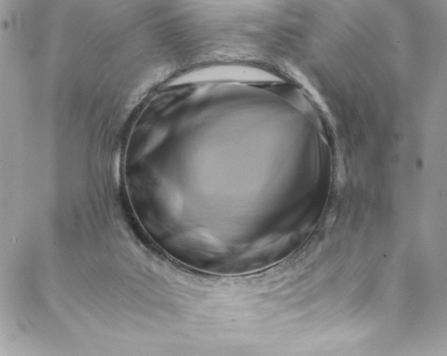 X0000088600019200706081404