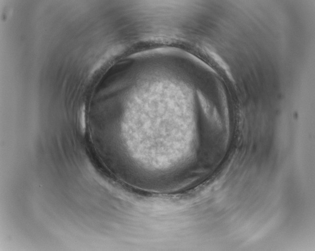 X0000088600020200706081404