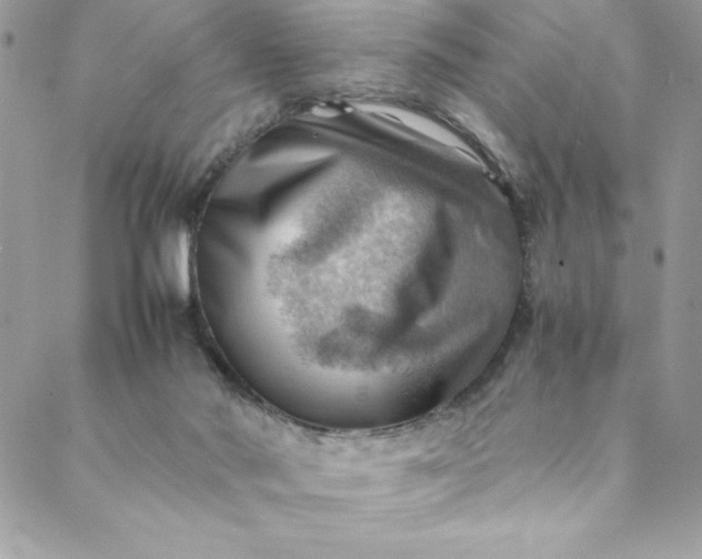 X0000088600022200706081404