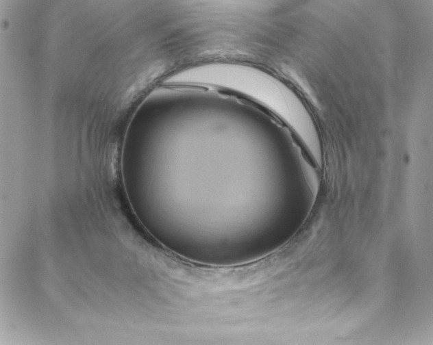 X0000088600023200706081404