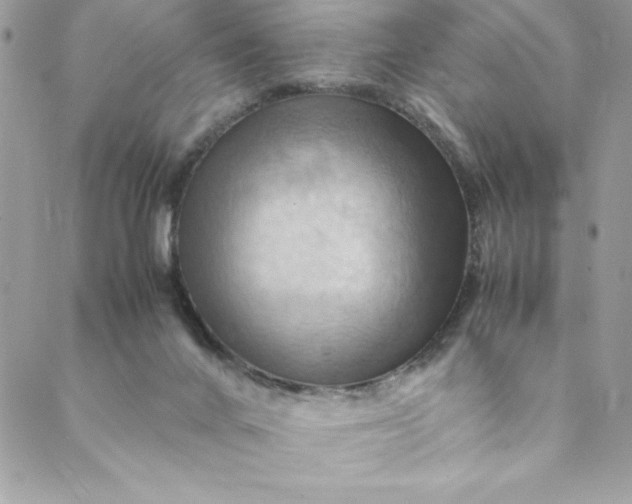 X0000088600024200706081404