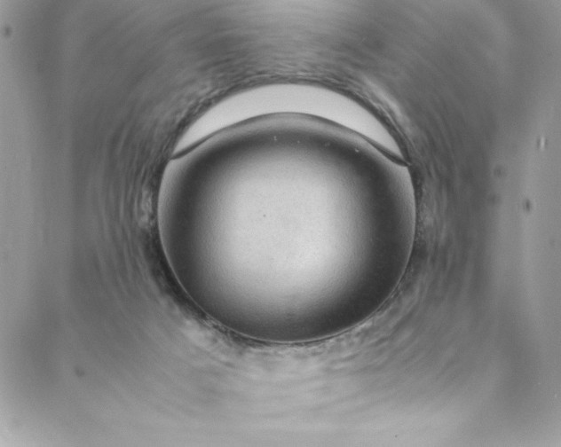 X0000088600025200706081404