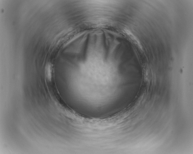 X0000088600026200706081404