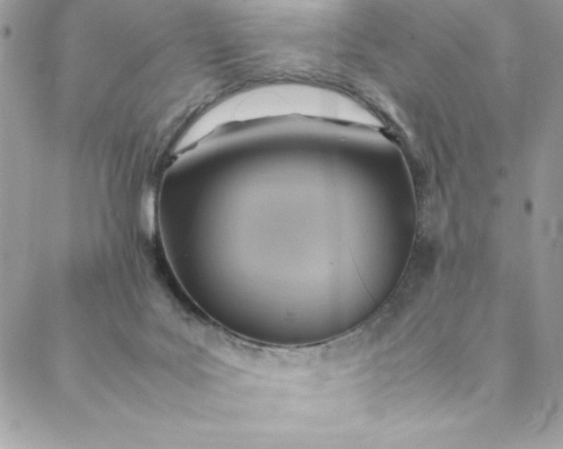 X0000088600027200706081404