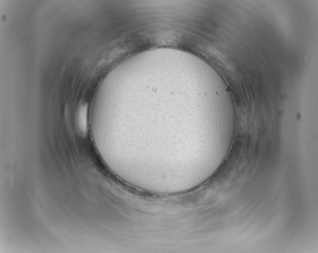 X0000088600028200706081404