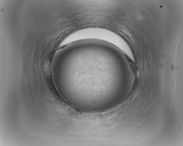 X0000088600029200706081404