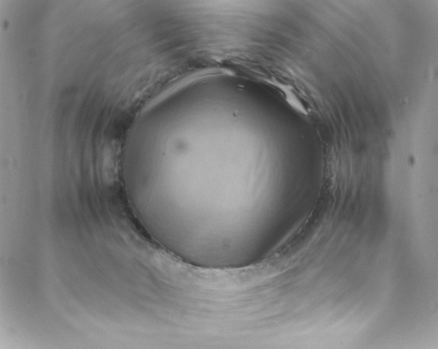 X0000088600030200706081404