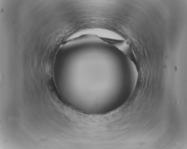 X0000088600031200706081404