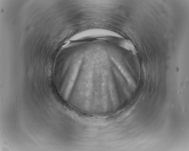 X0000088600032200706081404