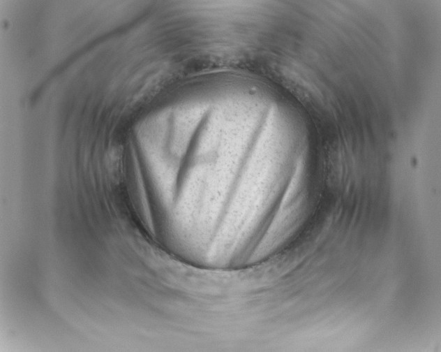 X0000088600034200706081404