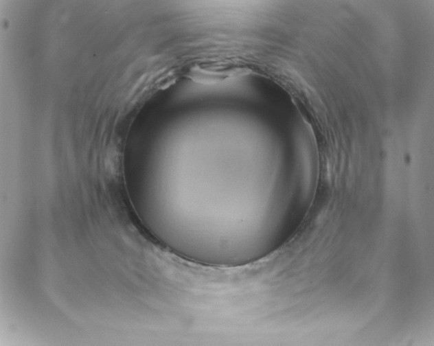 X0000088600035200706081404