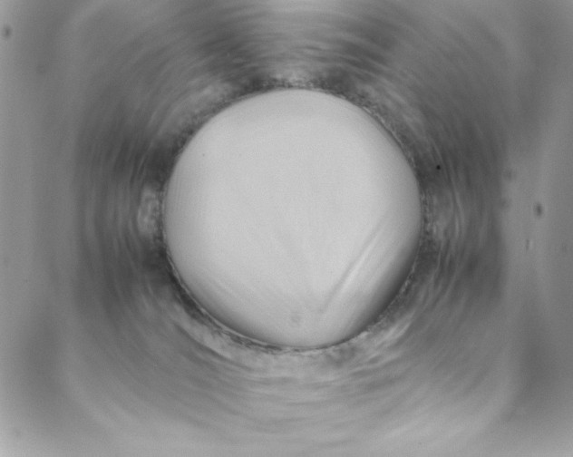 X0000088600036200706081404