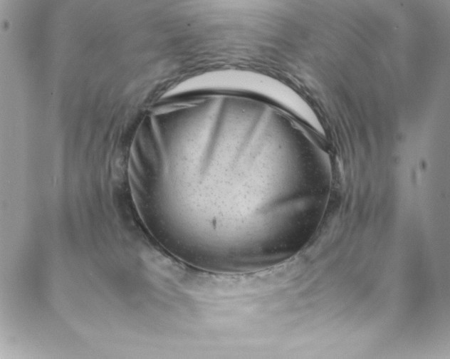 X0000088600037200706081404