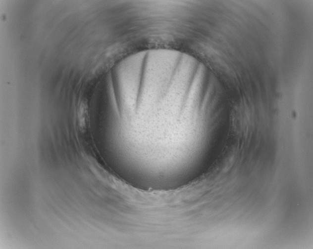 X0000088600038200706081404