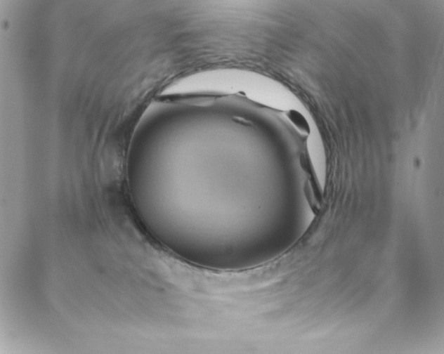 X0000088600039200706081404