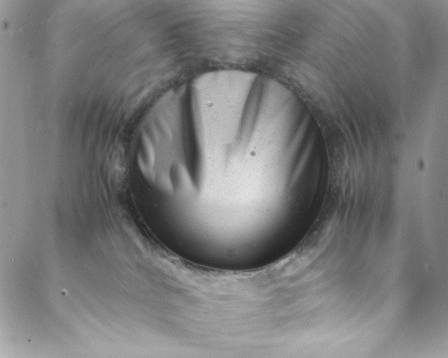 X0000088600040200706081404