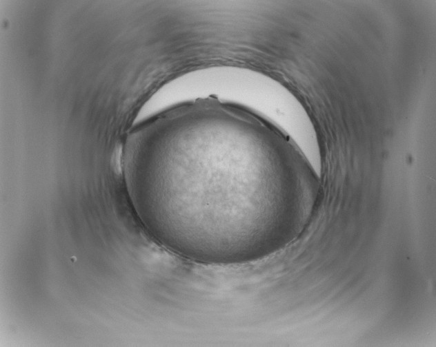 X0000088600041200706081404