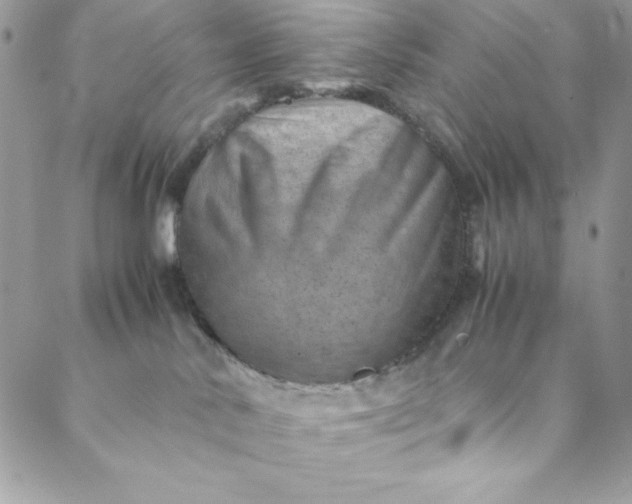 X0000088600042200706081404