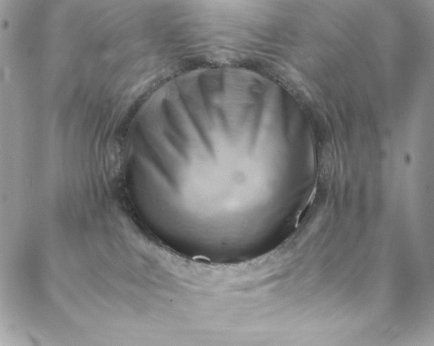 X0000088600043200706081404