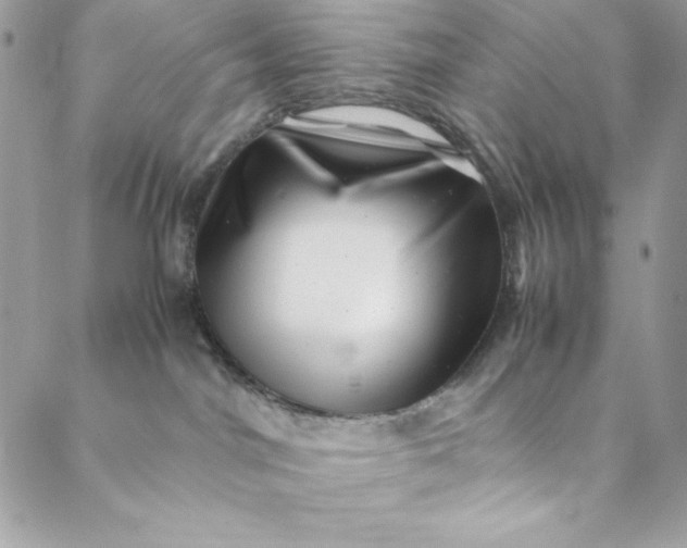 X0000088600044200706081404