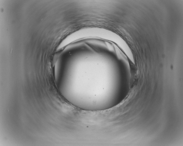 X0000088600045200706081404