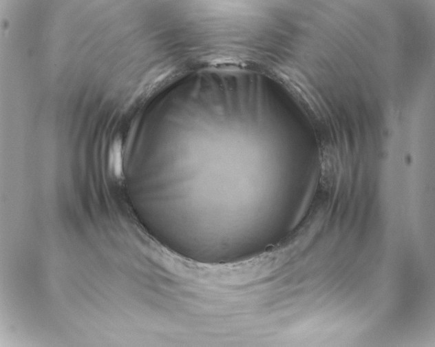 X0000088600046200706081404