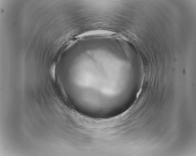 X0000088600047200706081404