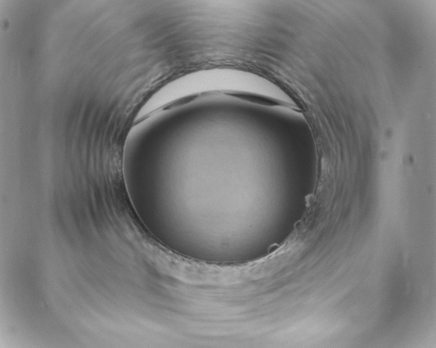 X0000088600048200706081404