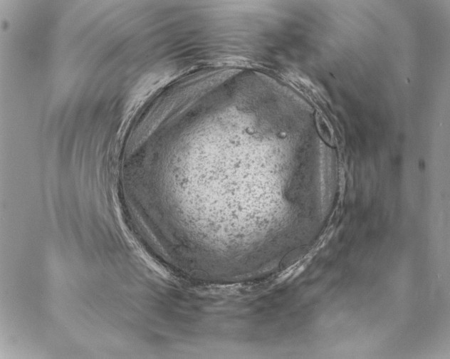 X0000088600049200706081403