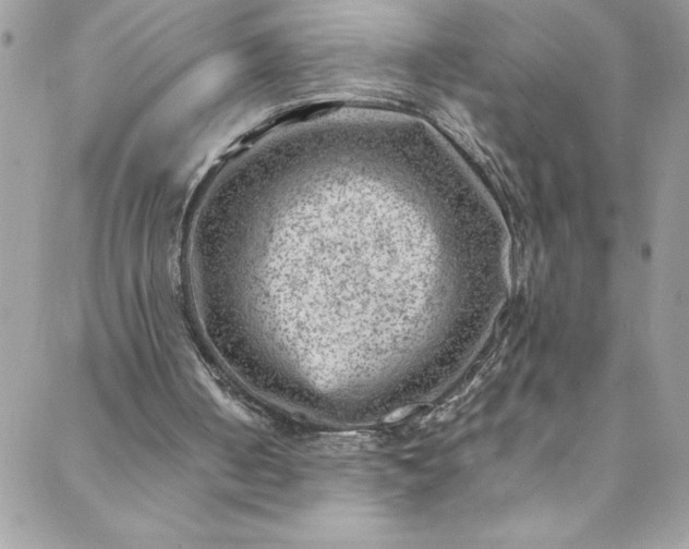 X0000088600050200706081403