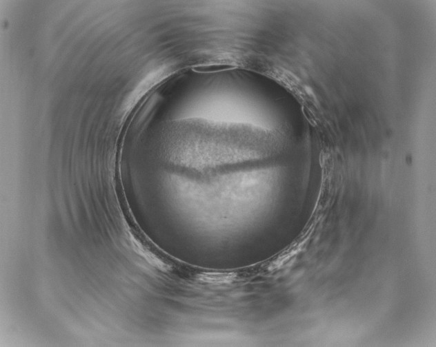 X0000088600051200706081403