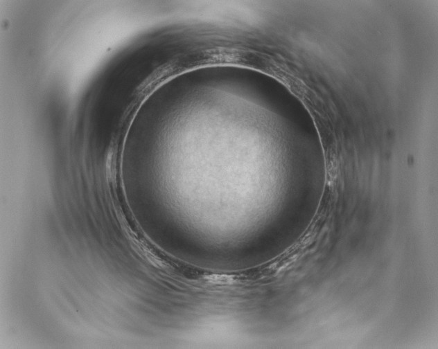 X0000088600052200706081403