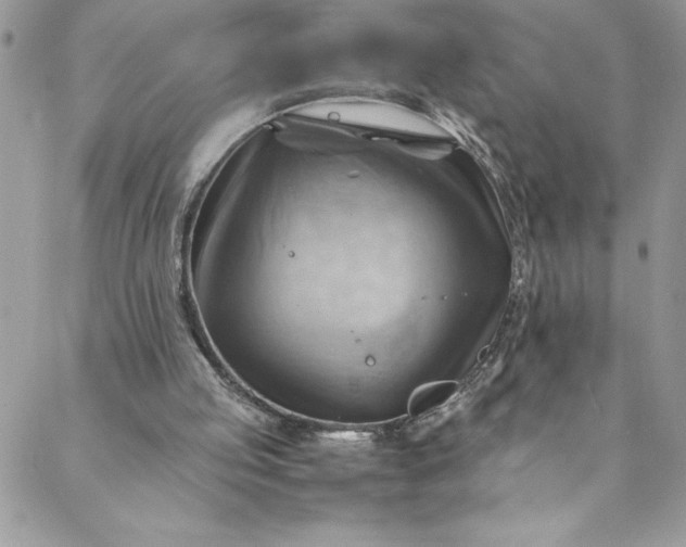 X0000088600053200706081403